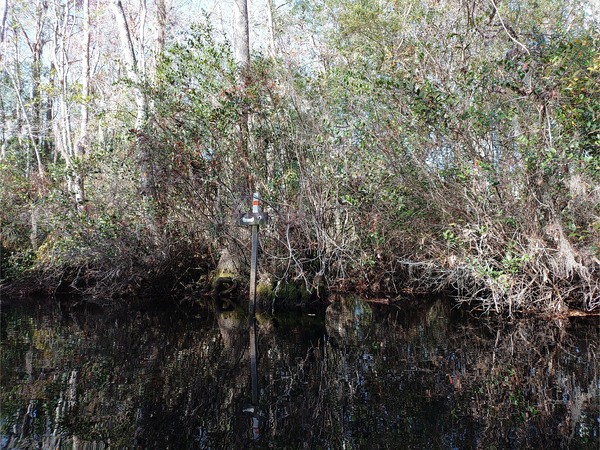 Mile 2 downstream from SCFSP Ramp, 10:02:52 --Phil Royce