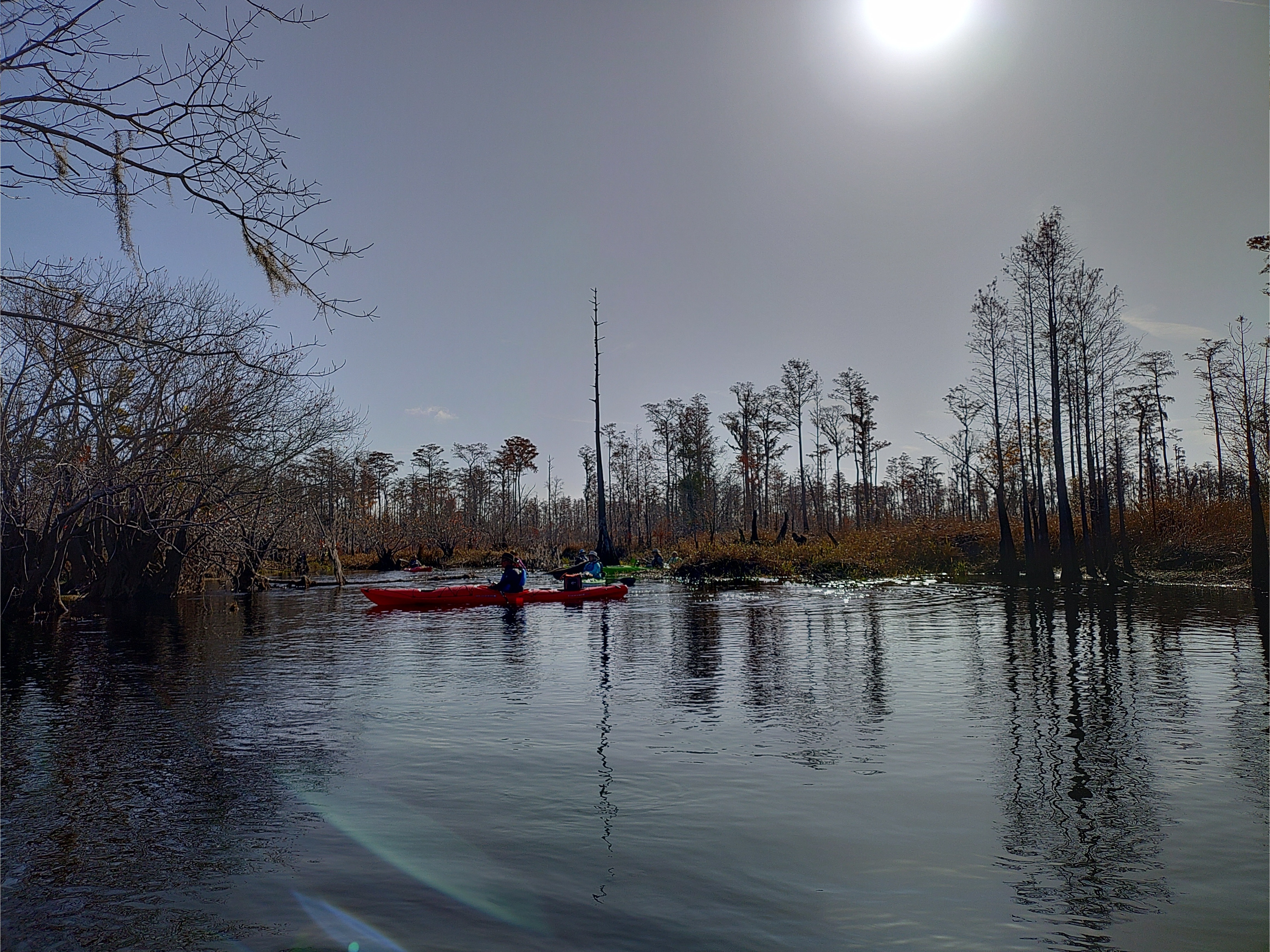 Paddlers, 10:37:24 --Phil Royce