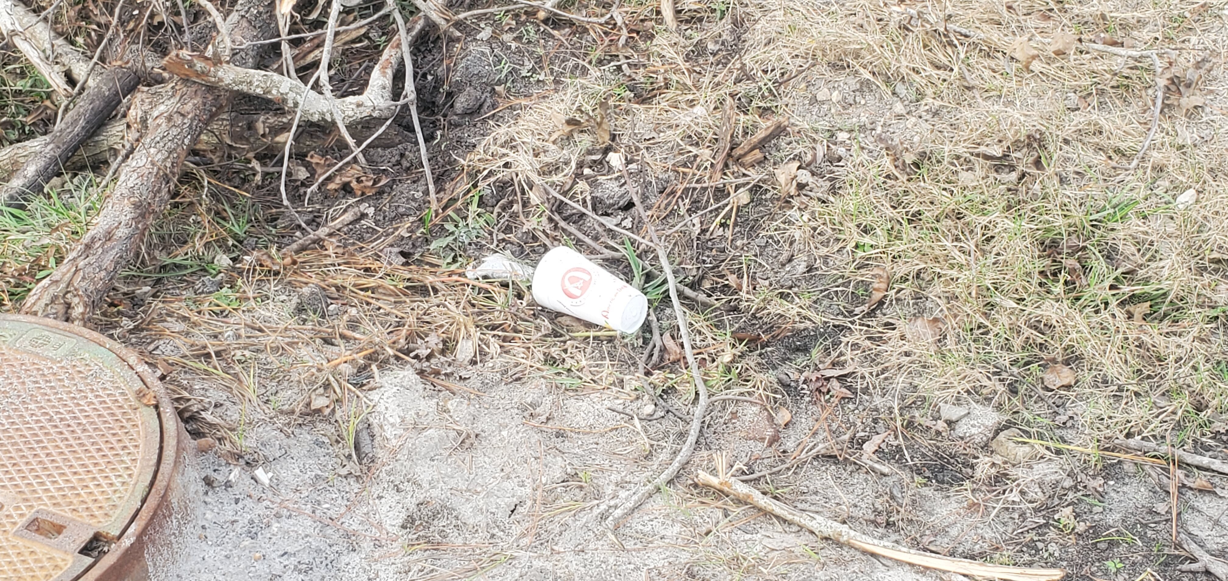 Closeup, Styrofoam cup by manhole on edge of Wainwright Drive, One Mile Branch, 14:09:52, 30.8429789, -83.3011725