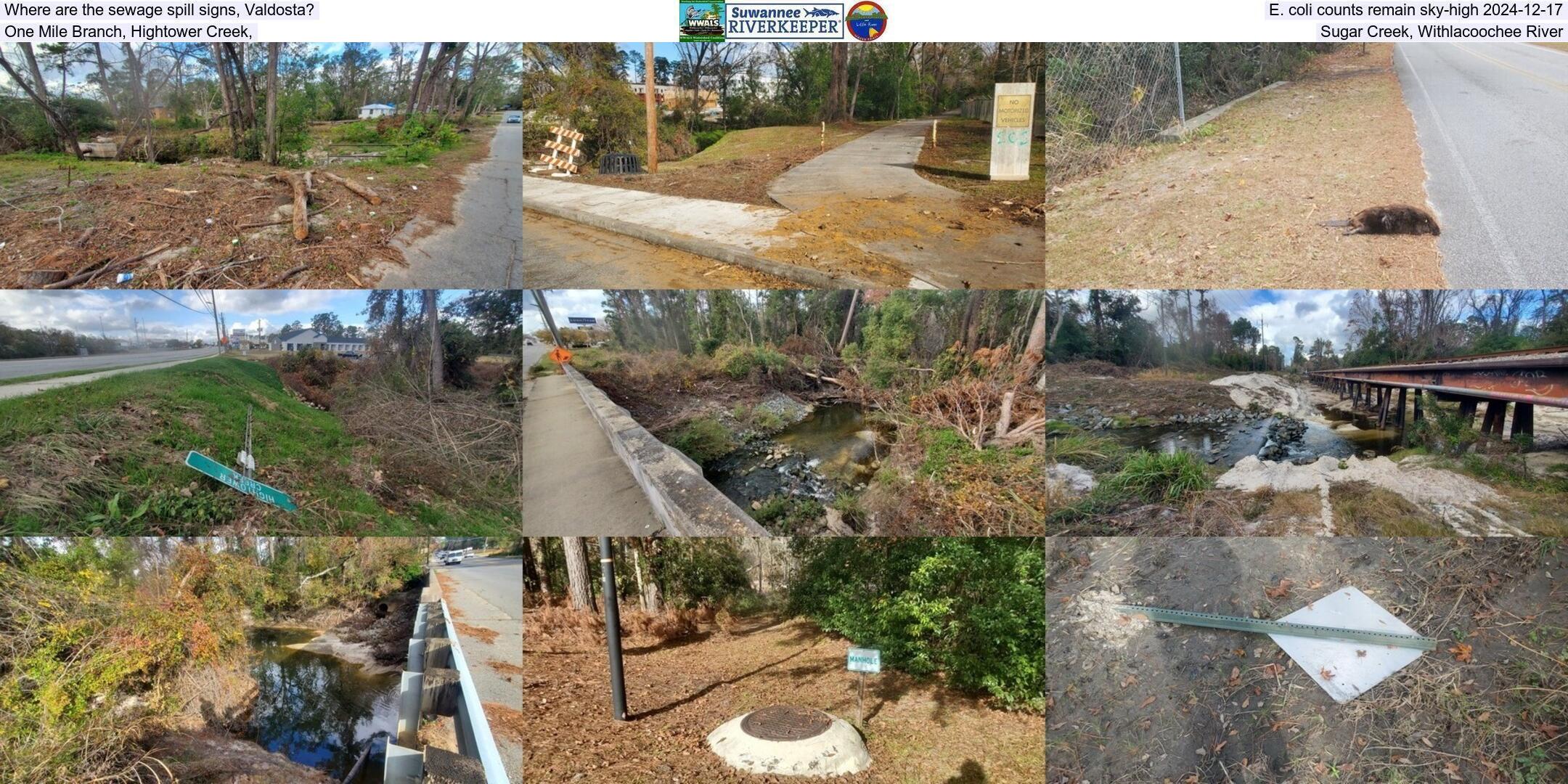 Where are the sewage spill signs, Valdosta, E. coli counts remain sky-high 2024-12-17, One Mile Branch, Hightower Creek, Sugar Creek, Withlacoochee River