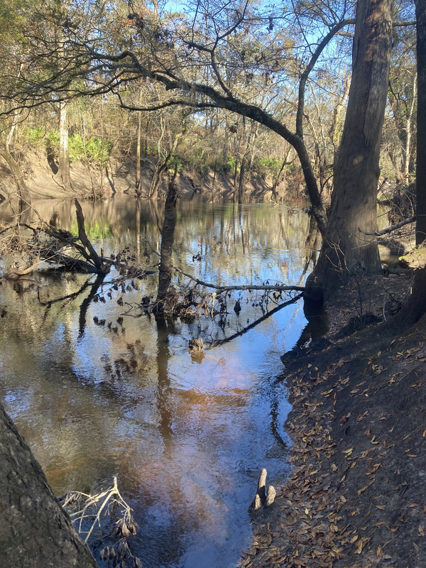 Upstream, Staten Road, Withlacoochee River @ Staten Road 2024-12-19