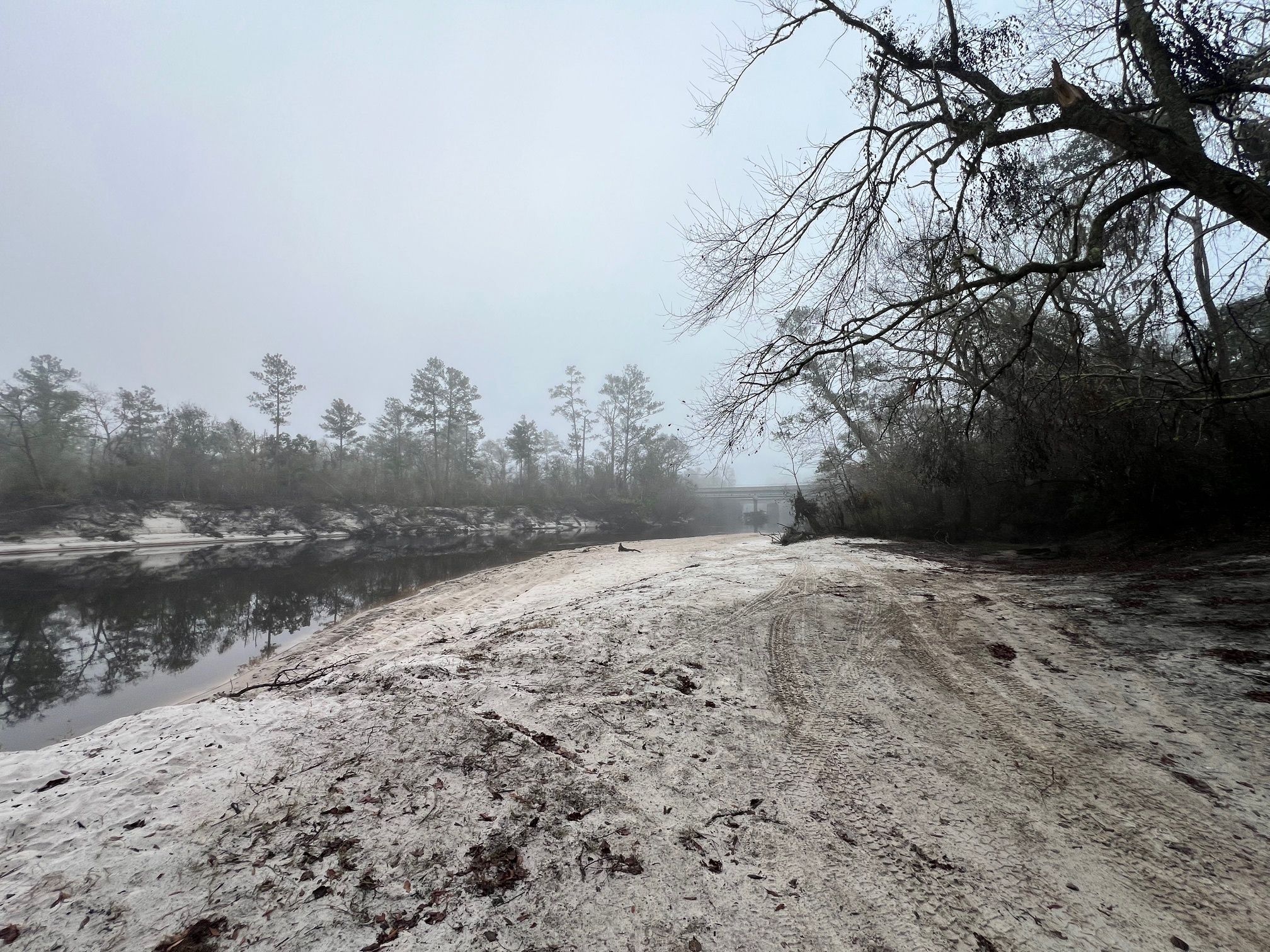 Upstream, Naylor Park Beach, Alapaha River @ US 84 2024-12-18