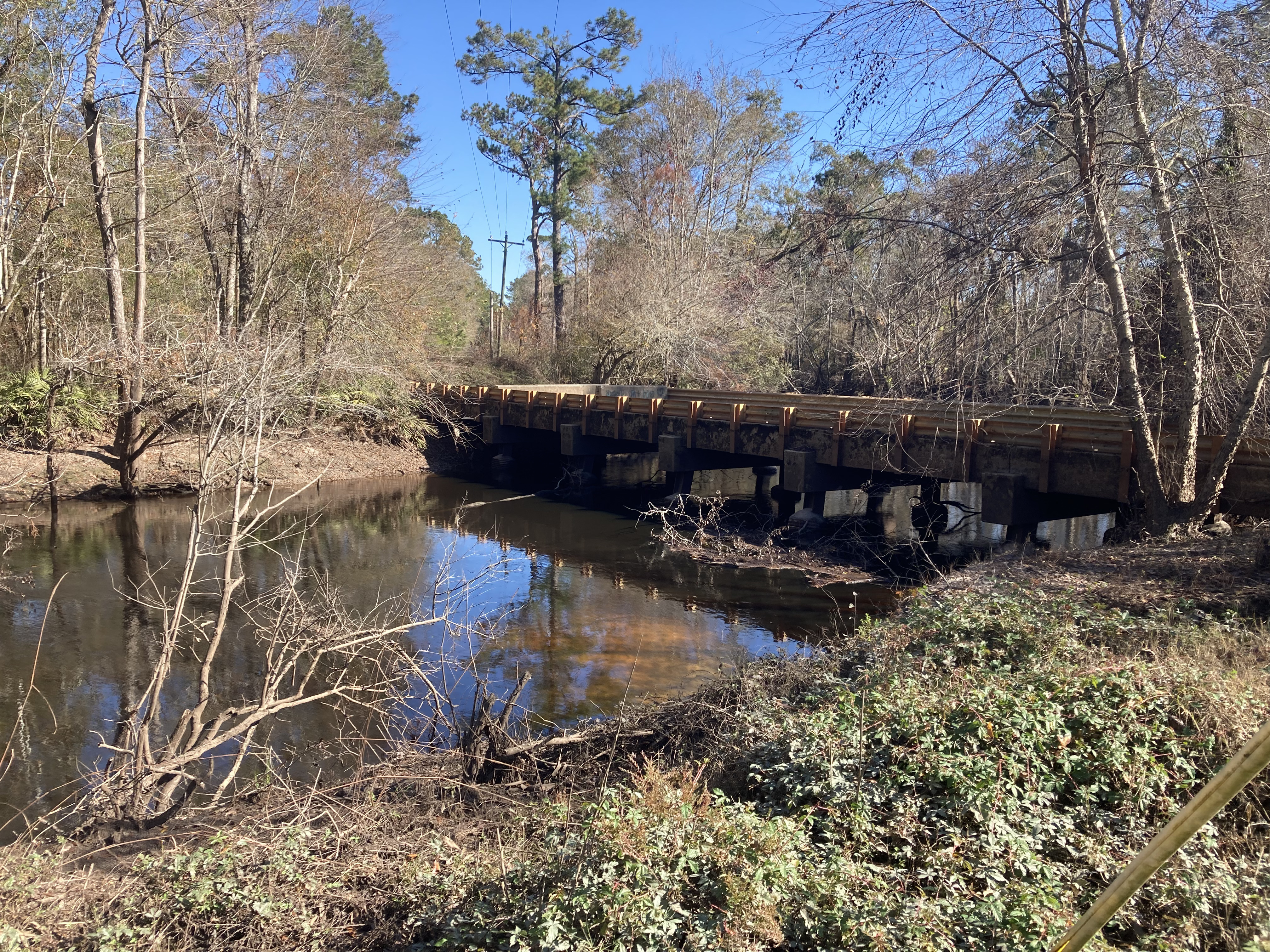 Franklinville Landing, Withlacoochee River @ Frankinville Road 2024-12-19