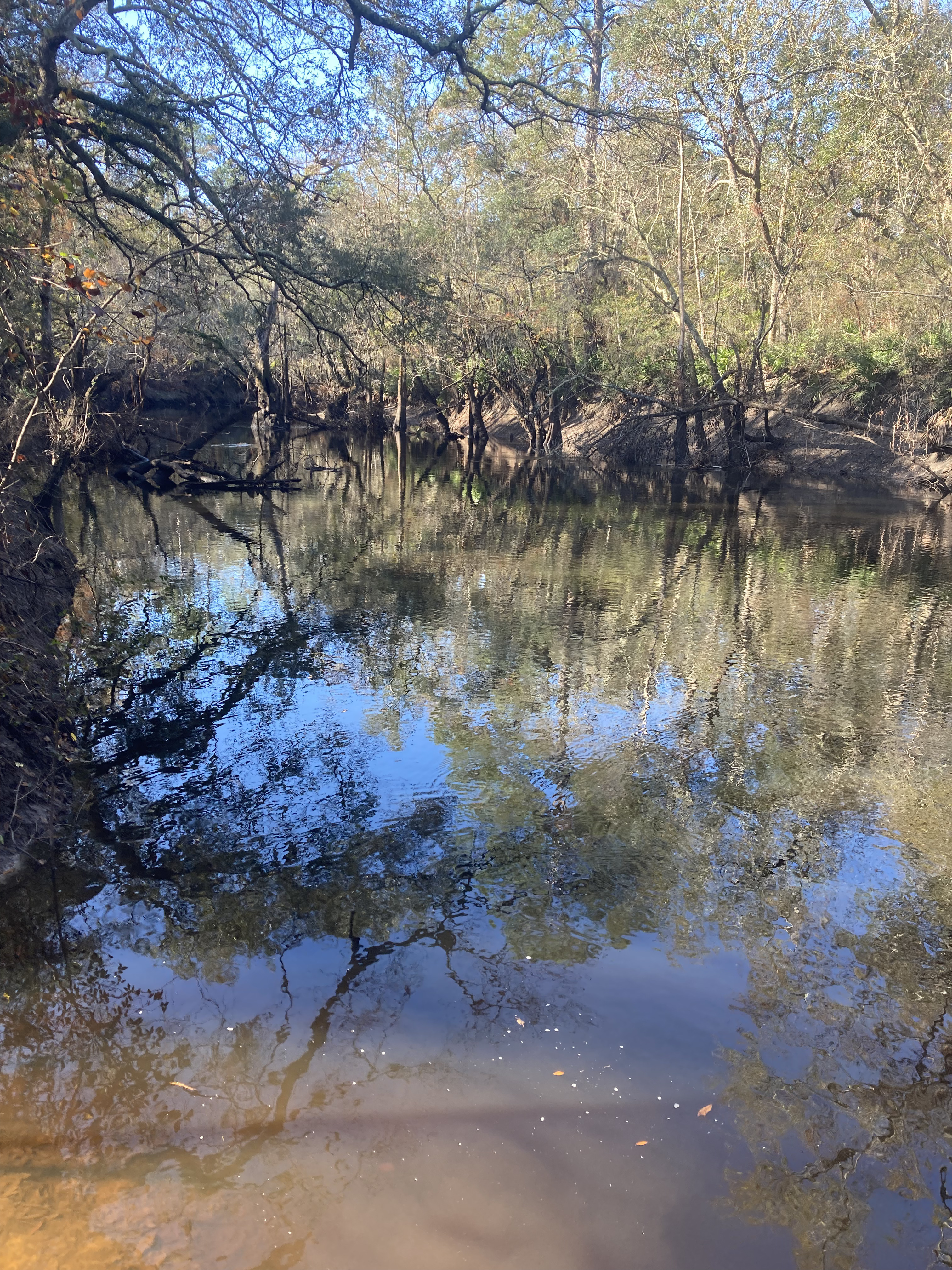 Staten Road, Withlacoochee River @ Staten Road 2024-12-19