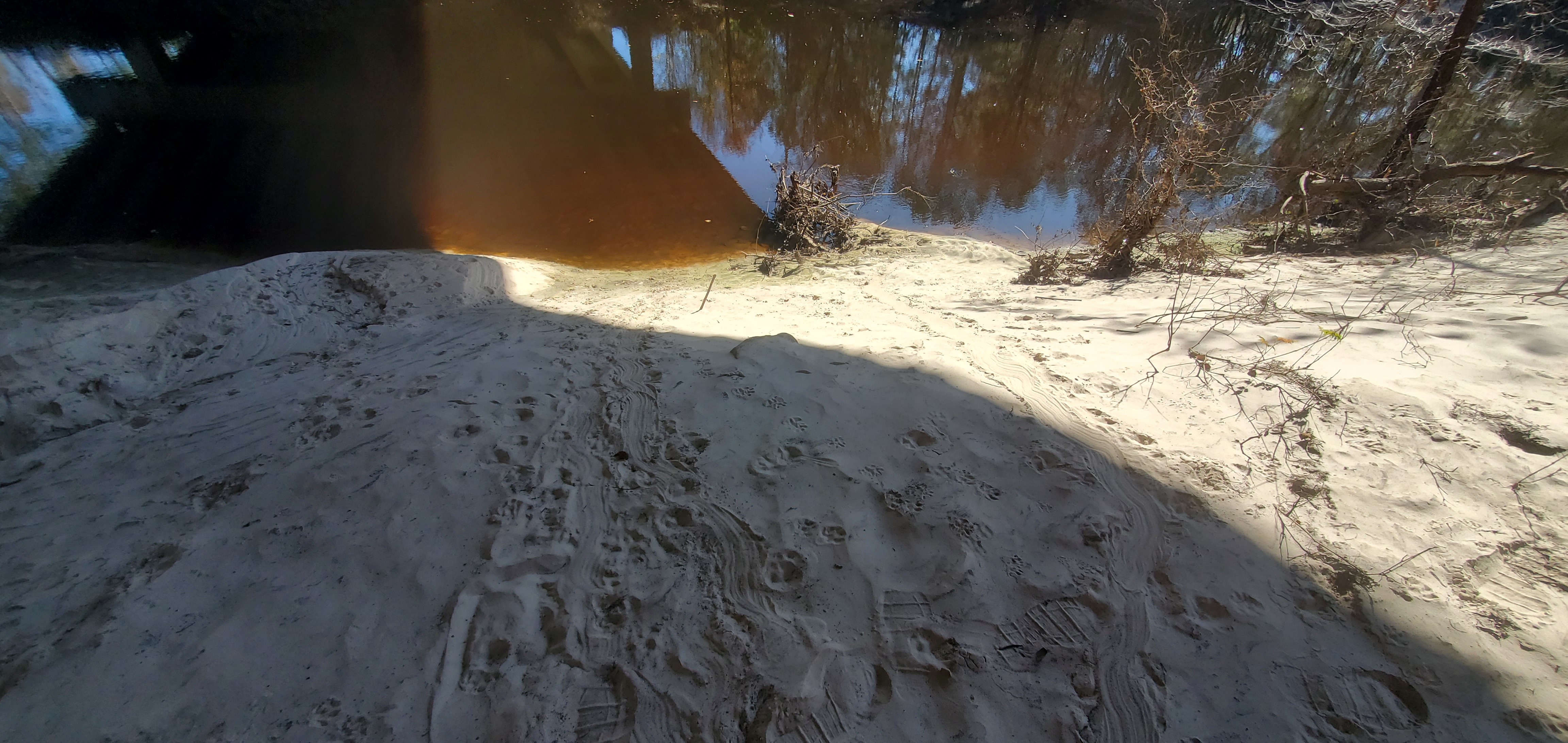 Tracks under GA 133 bridge, Withlacoochee River, 12:48:06, 30.8502519, -83.3400387