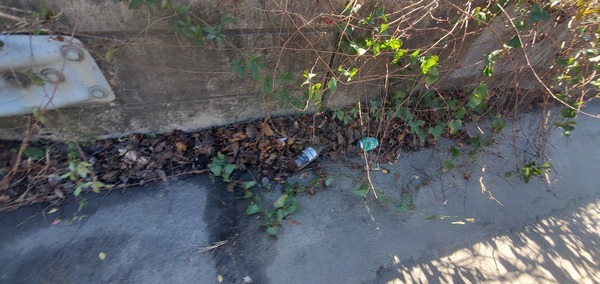 [Beer bottle and Sprite can on Gornto Road bridge]