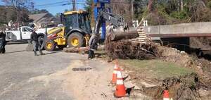 [Movie: Valdosta chainsawing deadfall removed from Sugar Creek at Gornto Road (37M)]