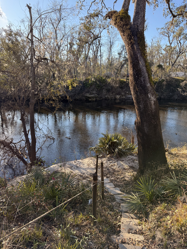 [Holly Point, Withlacoochee River @ NE Withla Bluffs Way 2025-01-02]