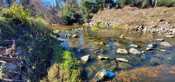 [Looking upstream from sewer line above NSRR, Sugar Creek, 2025:01:02 12:39:13, 30.8519224, -83.3148713]