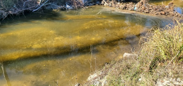 Sample site above Westbrook Circle sewer line, Sugar Creek, 2025:01:02 13:22:08, 30.85038, -83.31445