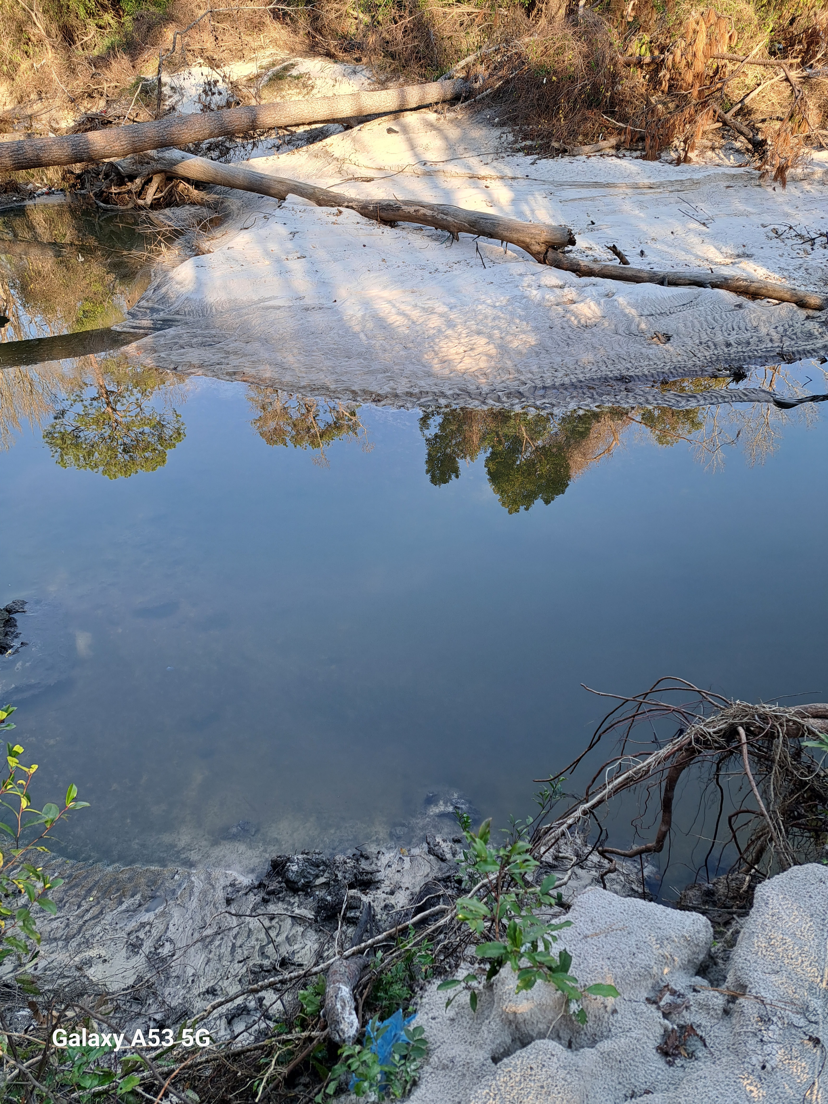 Beach across Sugar Creek behind Outdoor Living 2025-01-01 16:04:57