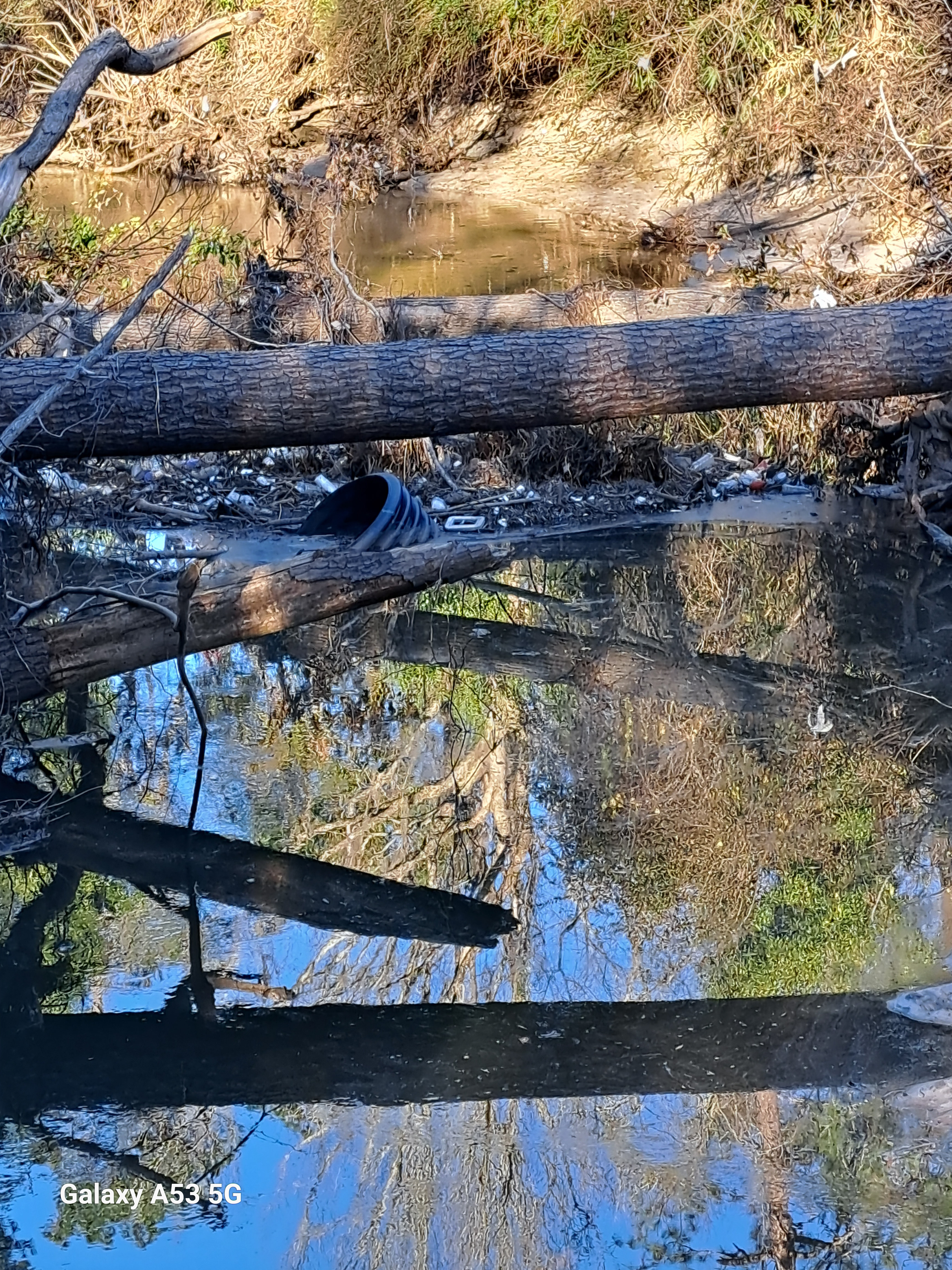 Trash at deadfalls behind Outdoor Living, Sugar Creek 2025-01-01 16:05:41