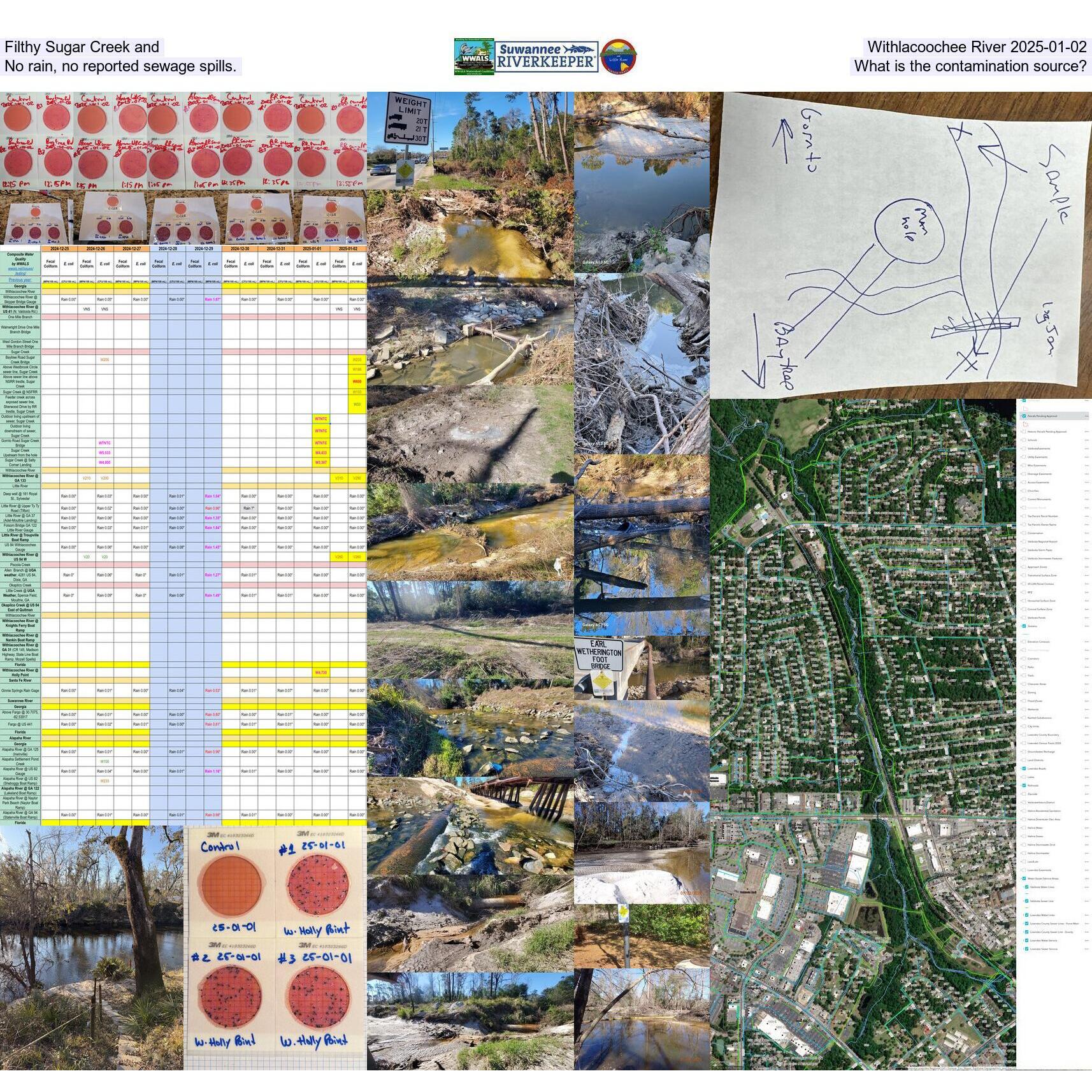 Filthy Sugar Creek and Withlacoochee River 2025-01-02, No rain, no reported sewage spills. What is the contamination source?