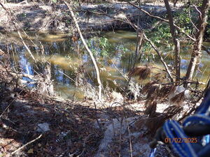 [Green water above Gornto Road, Sugar Creek P1020612 2025-01-01]