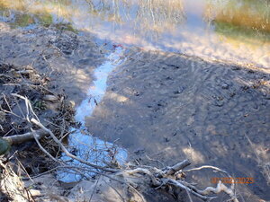 [Oily sheen above Gornto Road, Sugar Creek P1020613 2025-01-01]