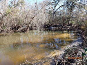 [Upstream past Two Mile Branch from WaterGoat, Sugar Creek P1020606 2025-01-01]