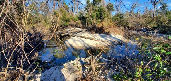 Context, Sugar Creek Beach, 2025:01:07 15:13:37, 30.8569568, -83.3164498