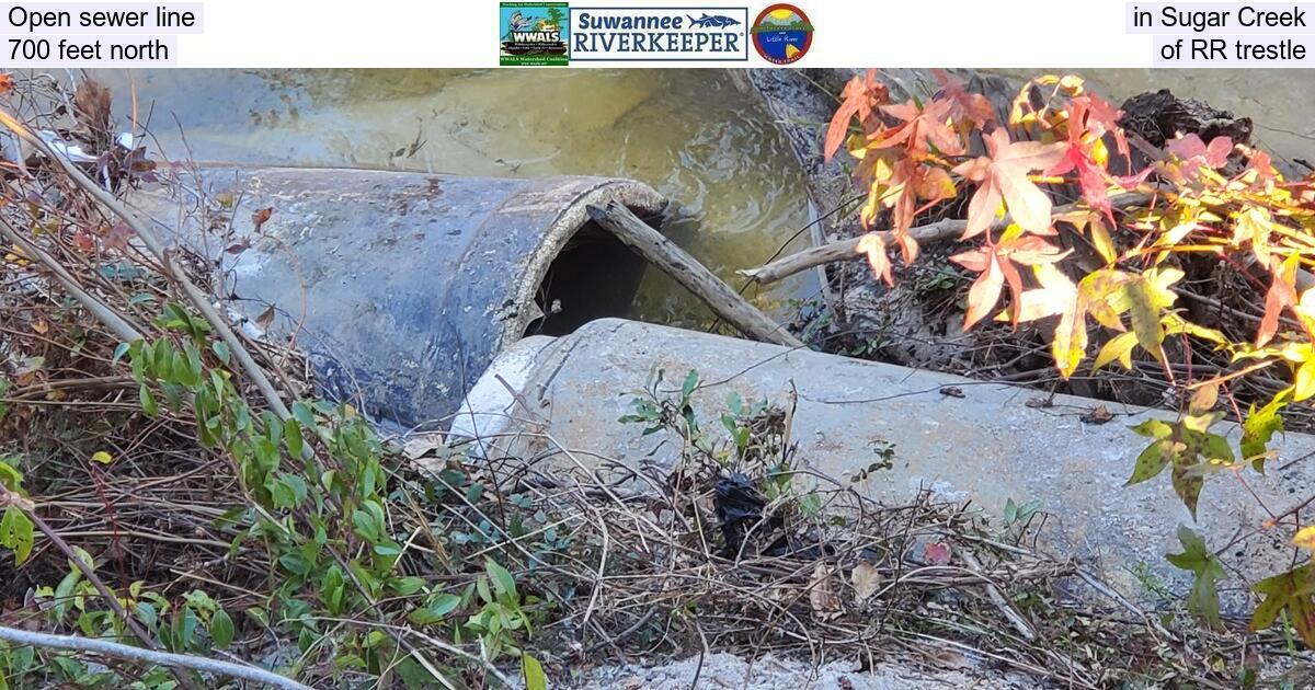 Open sewer line in Sugar Creek, 700 feet north of RR trestle