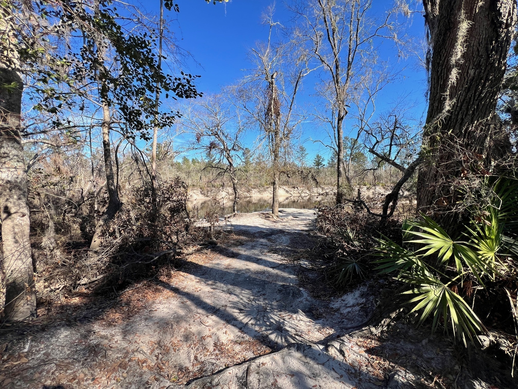 Naylor Park Beach, Alapaha River @ US 84 2025-01-08