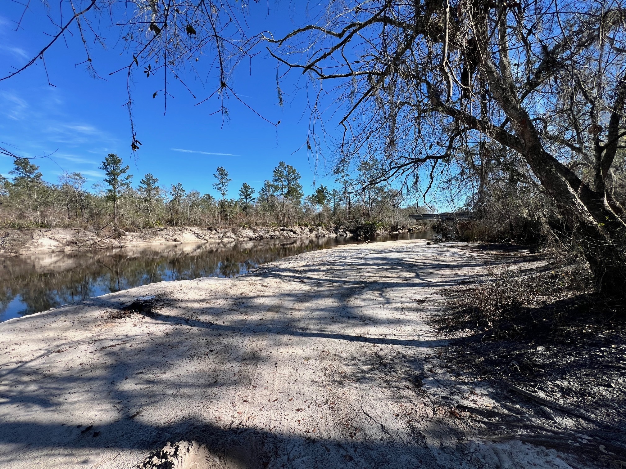 Upstream, Naylor Park Beach, Alapaha River @ US 84 2025-01-08