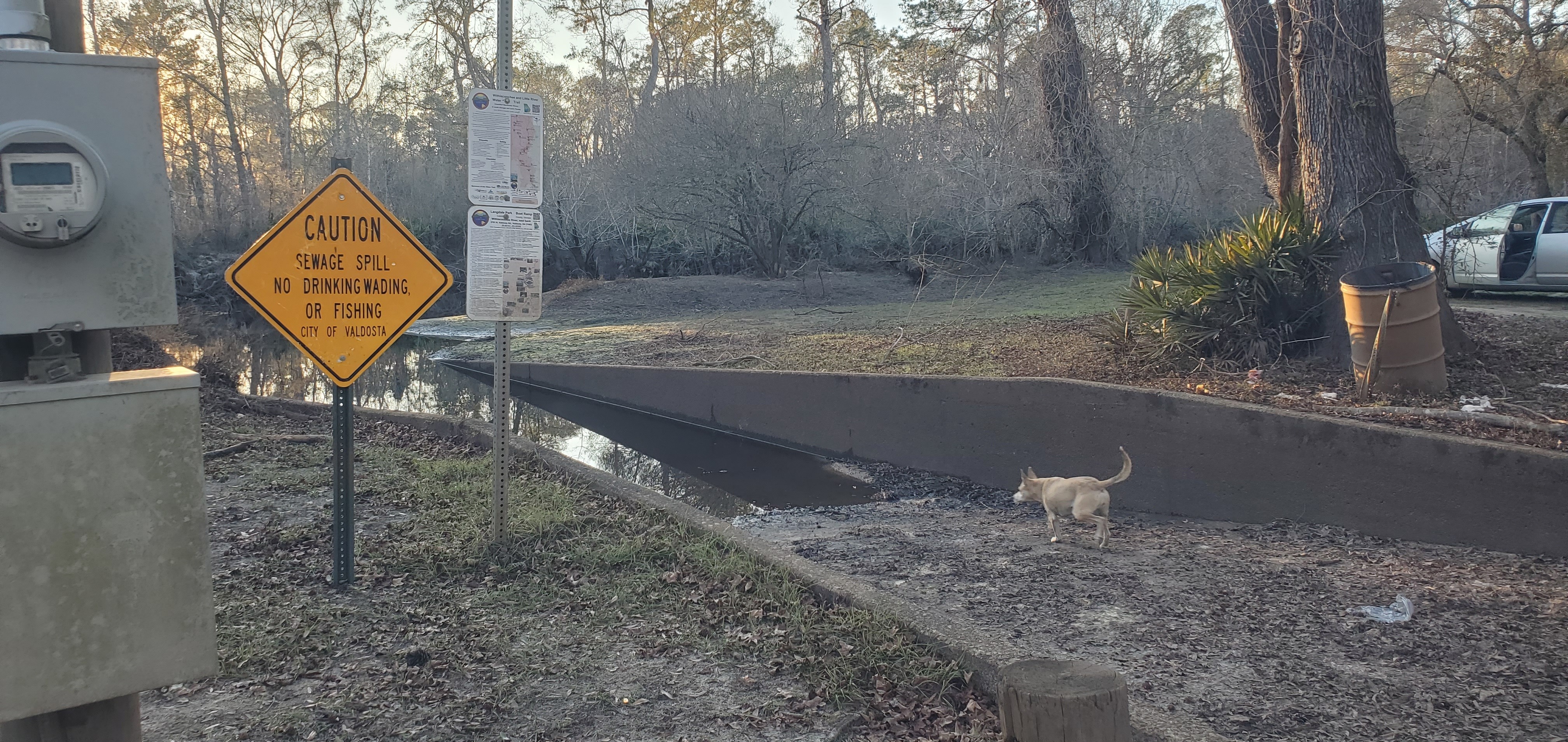 Sky dog, Langdale Park Boat Ramp, Withlacoochee River @ North Valdosta Road 2025-01-09