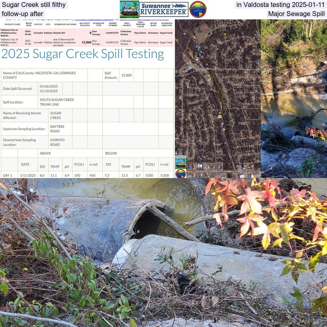 Sugar Creek still filthy in Valdosta testing 2025-01-11, follow-up after Major Sewage Spill