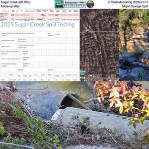 [Sugar Creek still filthy in Valdosta testing 2025-01-11, follow-up after Major Sewage Spill]