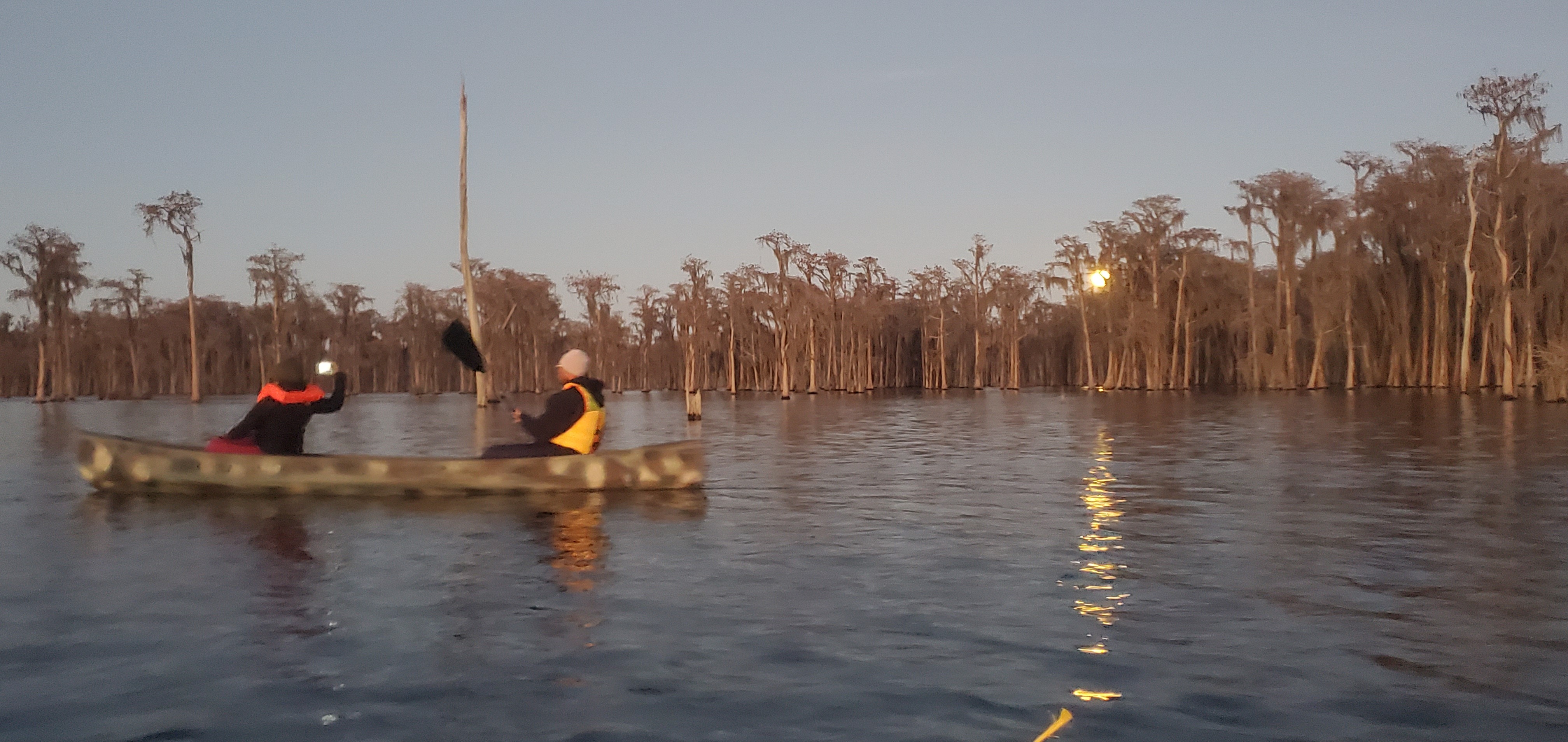 Bats, Full Wolf Moon rising, Banks Lake 2021-01-28