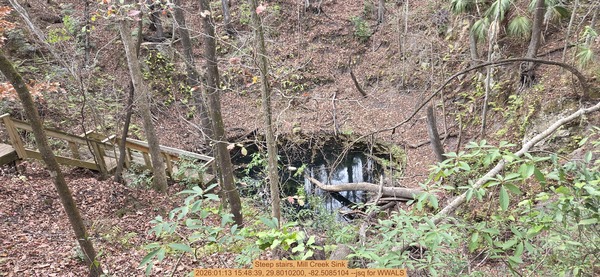 Steep stairs, Mill Creek Sink, 2026:01:13 15:48:39, 29.8010200, -82.5085104 --jsq for WWALS
