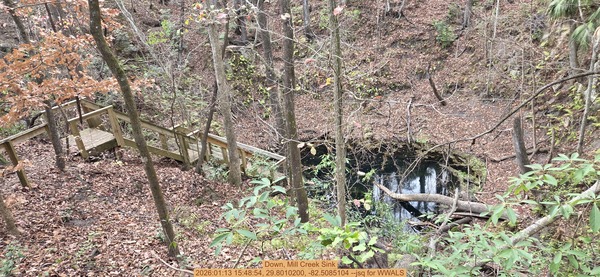 Down, Mill Creek Sink, 2026:01:13 15:48:54, 29.8010200, -82.5085104 --jsq for WWALS
