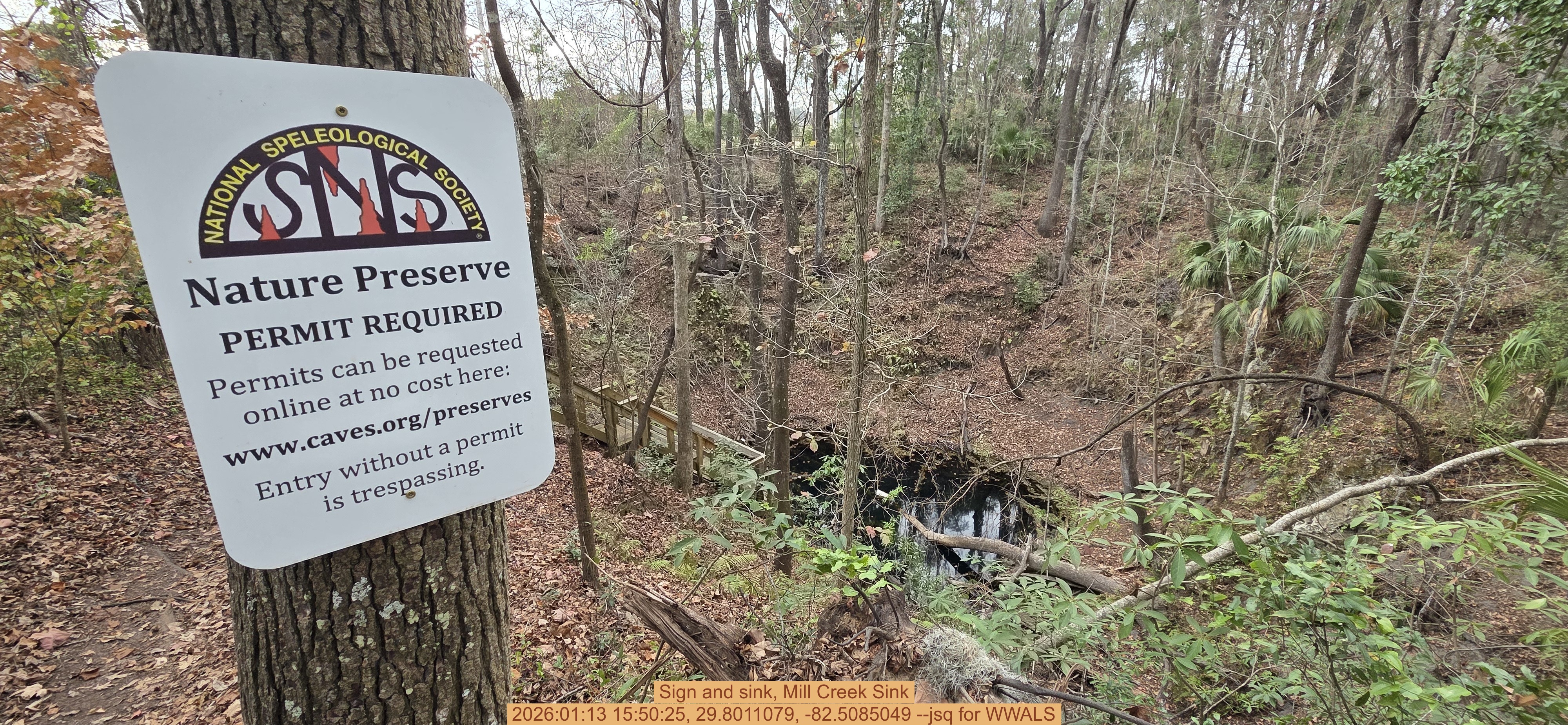 Sign and sink, Mill Creek Sink, 2026:01:13 15:50:25, 29.8011079, -82.5085049 --jsq for WWALS