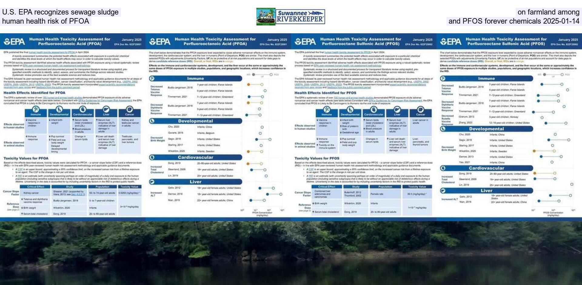 U.S. EPA recognizes sewage sludge on farmland among human health risk of PFOA and PFOS forever chemicals 2025-01-14