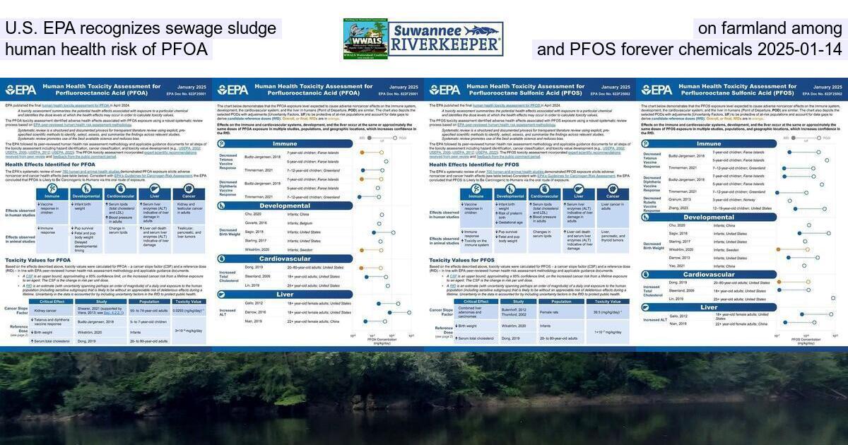 [U.S. EPA recognizes sewage sludge on farmland among human health risk of PFOA and PFOS forever chemicals 2025-01-14]