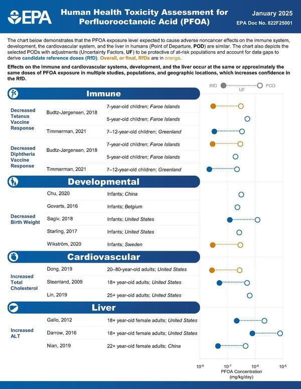 [PFOA adverse noncancer effects on the immune system, etc.]
