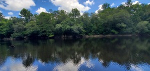 [During PFOAS testing, Withlacoochee River, Sullivan Launch, Hamilton County, FL, 2022-06-30, 12:11:09, 30.5958433, -83.2598681]