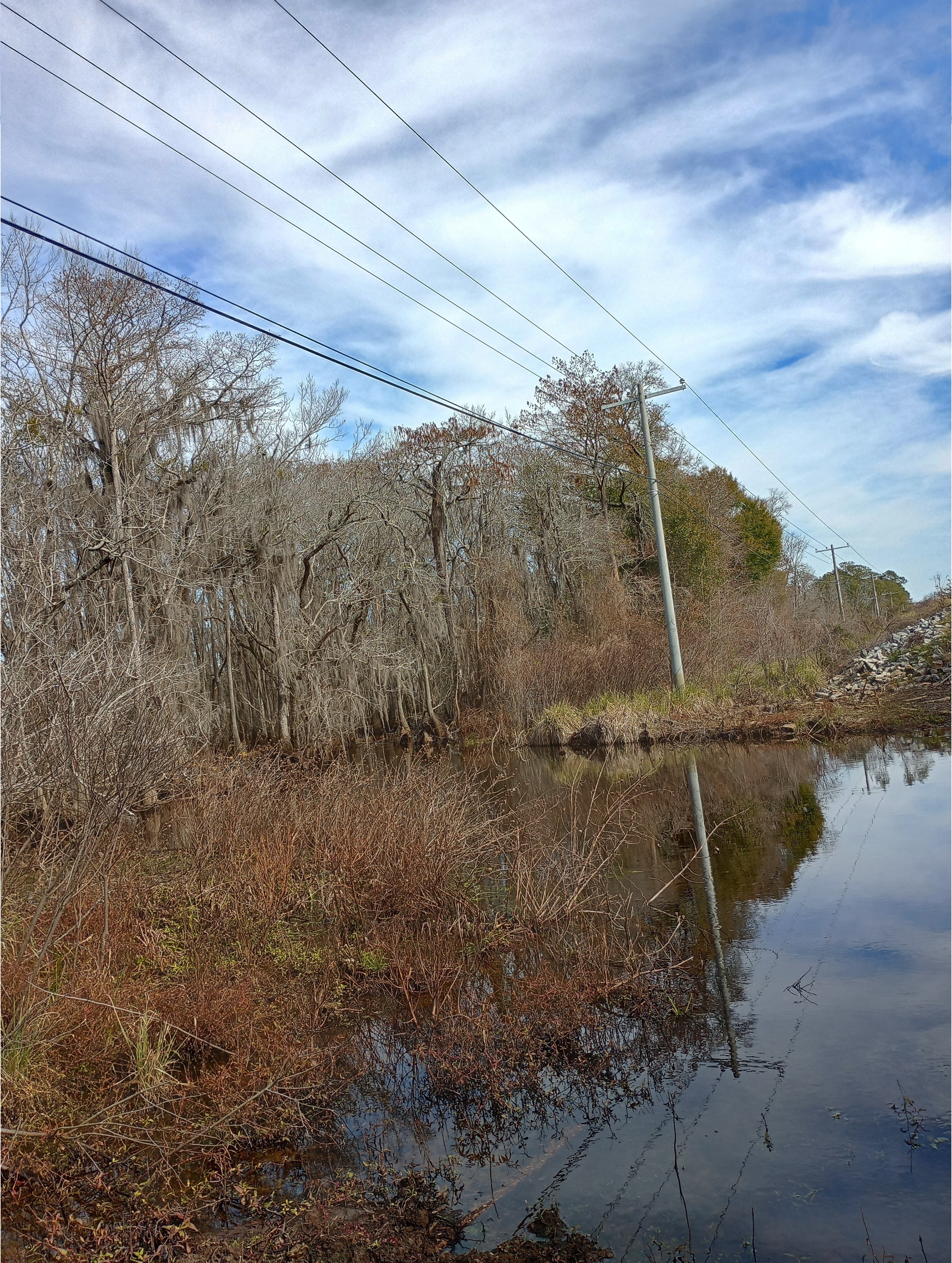 Upstream, Little River @ US 82, Little River 2025-01-15