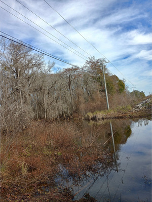 [Upstream, Little River @ US 82, Little River 2025-01-15]