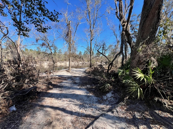 [Naylor Park Beach, Alapaha River @ US 84 2025-01-16]