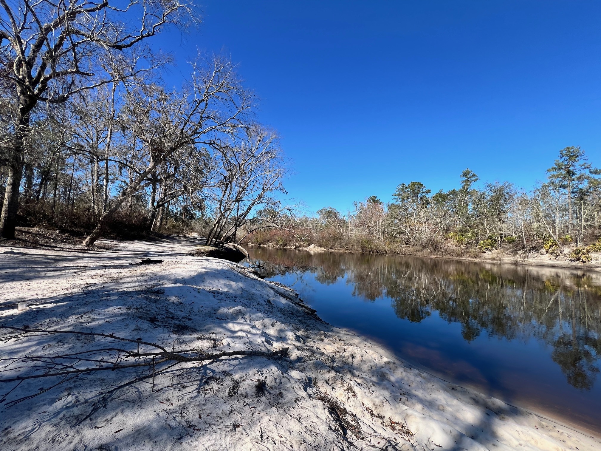 Upstream, Naylor Park Beach, Alapaha River @ US 84 2025-01-16