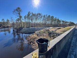 [West, Lakeland Boat Ramp, Alapaha River @ GA 122 2025-01-16]