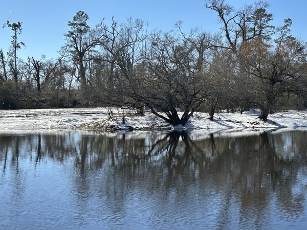 [Nashville Landing, Alapaha River @ GA 168 --Shirley Kokidko 2025-01-22]