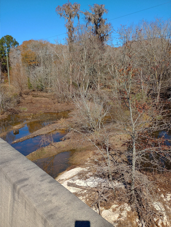 Upstream, GA 125, Tifton, GA, New River of Withlacoochee 2025:02:02 12:57:44, 31.3607025, -83.4281311