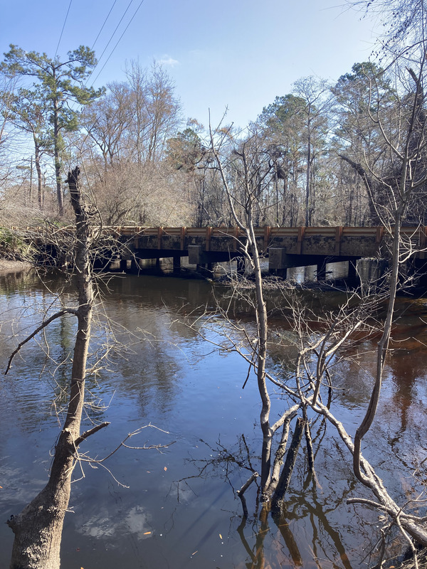 Upstream, Franklinville, Withlacoochee River @ Frankinville Road 2025-02-06