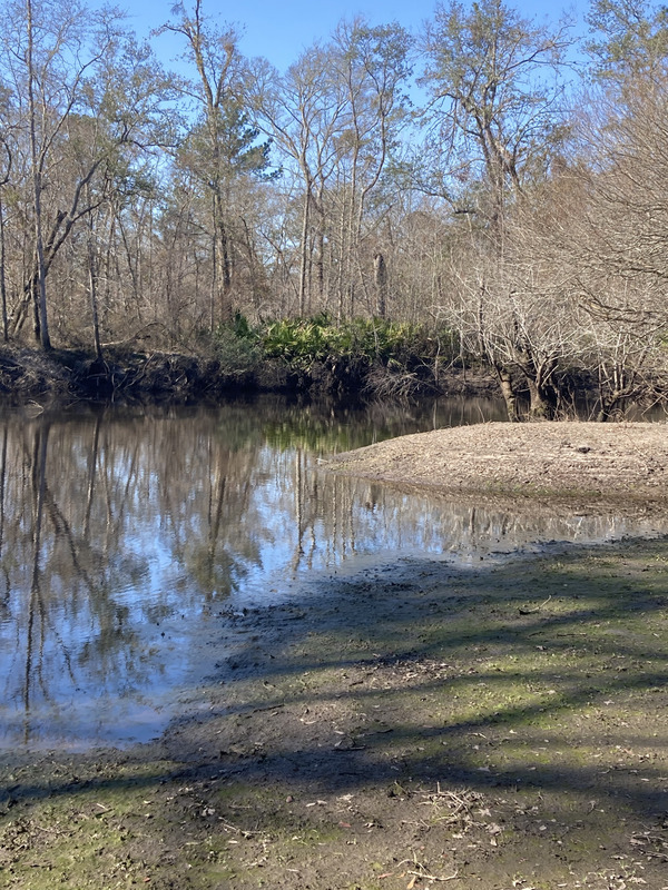 Upstream, Langdale Park Boat Ramp, Withlacoochee River @ North Valdosta Road 2025-02-06