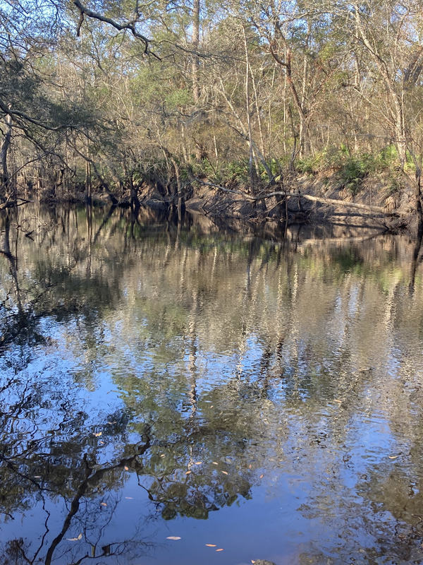 Downstream, Staten Road, Withlacoochee River @ Staten Road 2025-02-06