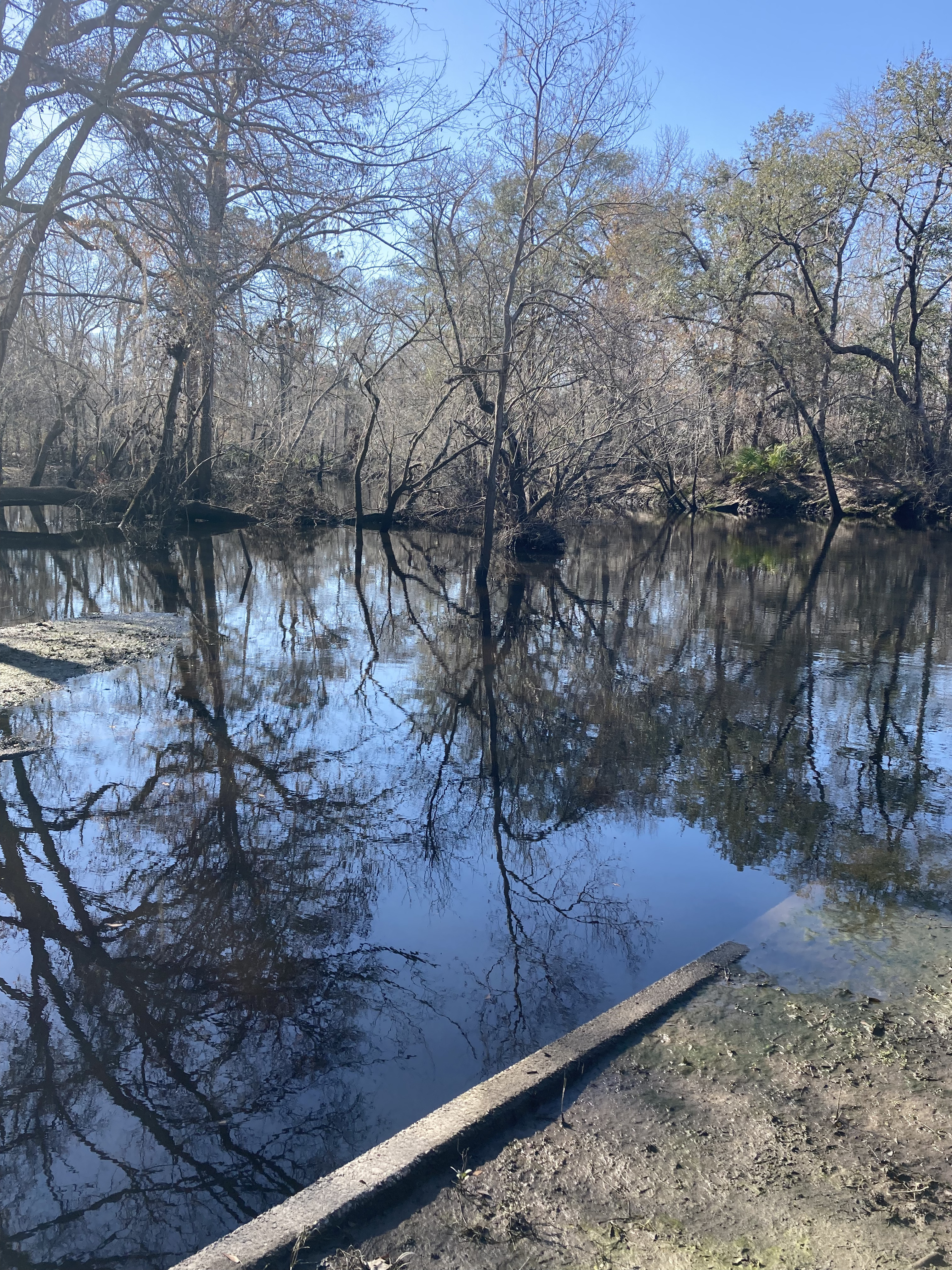 Downstream, Langdale Park Boat Ramp, Withlacoochee River @ North Valdosta Road 2025-02-06