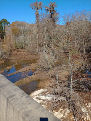 [Upstream, GA 125, Tifton, GA, New River of Withlacoochee 2025:02:02 12:57:44, 31.3607025, -83.4281311]