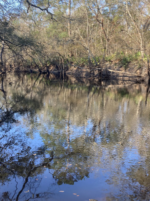 [Downstream, Staten Road, Withlacoochee River @ Staten Road 2025-02-06]