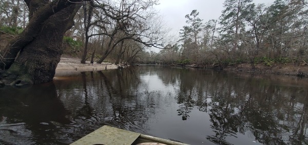 Withlacoochee River downstream, 2025:02:08 10:47:15, 30.8460983, -83.3475626