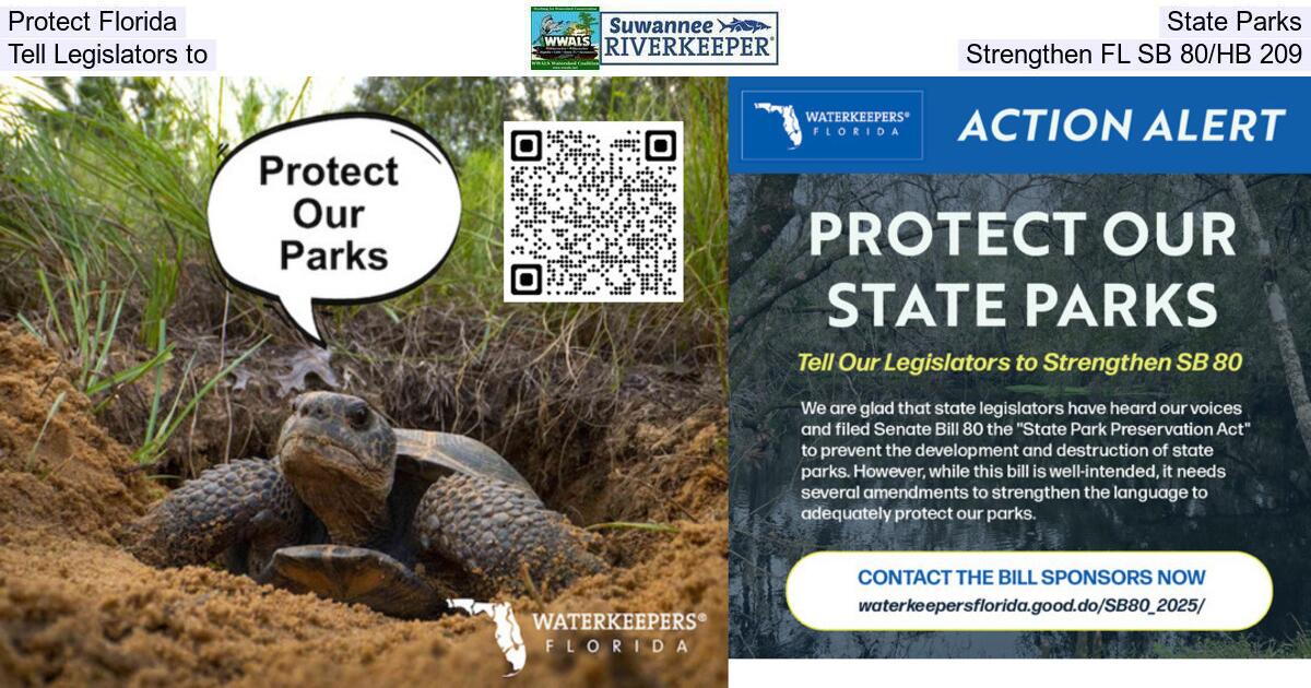 Protect Florida State Parks, Tell Legislators to Strengthen FL SB 80/HB 209